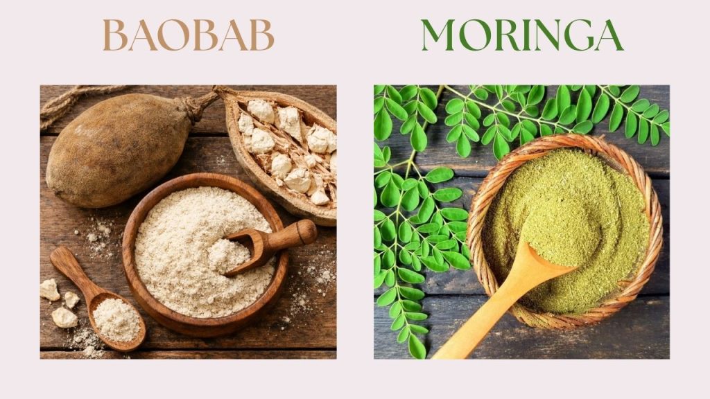 Image du baobab en graine et en poudre et du moringa en feuille et en poudre