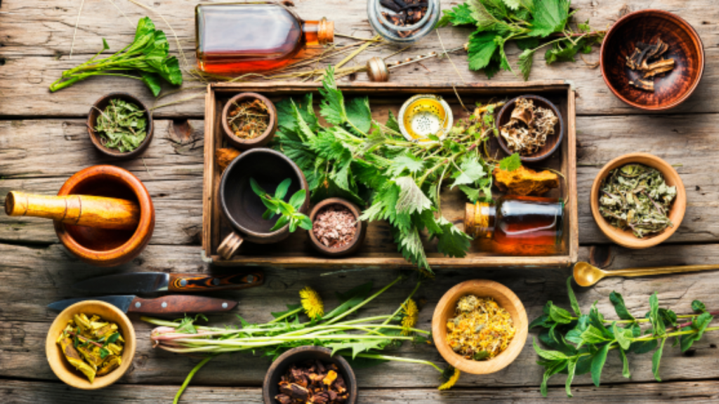 Image de diverses plantes médicinales coupées sur une table en bois, dans des petits bols et dans un plateau