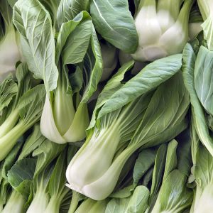 Chou chinois Pak-choi Shangai - Bio (250 semences)