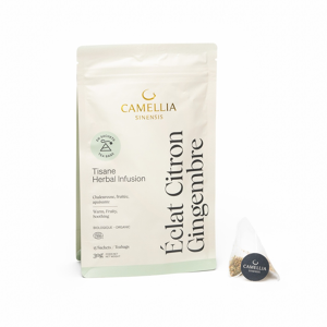 Éclat Citron Gingembre bio