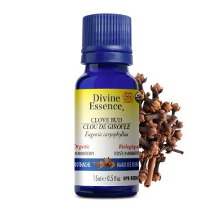 Huile essentielle Clou de Girofle bio (Eugenia caryophyllus) 15 ml