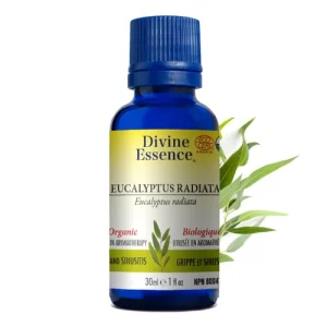 Huile essentielle eucalyptus radiata