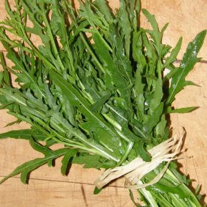 Jardins de l'Ecoumene - Roquette italienne Sylvetta - Bio (600 semences)