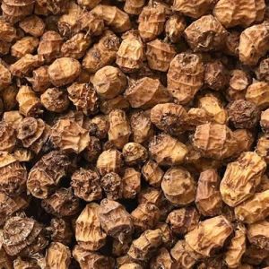 Souchet comestible - Bio (15 semences)