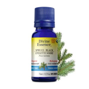 Divine Essence - Huile essentielle Épinette noire bio