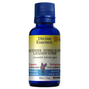 Huile essentielle Lavandin Super bio Hybride