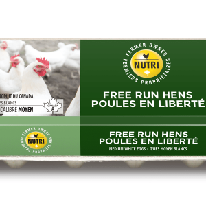 Oeufs bruns biologiques -