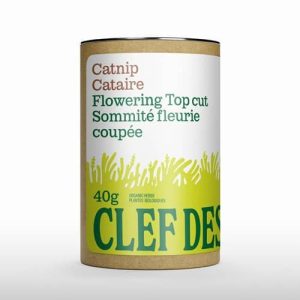 Clef des champs - Tube de  Cataire bio, sommité fleurie coupée 40g
