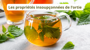 Infusion d'ortie dans une tasse en verre avec des feuilles d'ortie fraîches sur une table grise