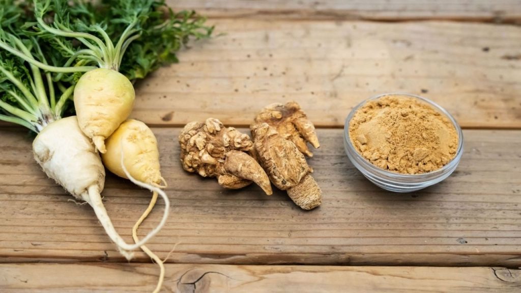 Racines de maca fraîches et séchées, accompagnées d’un bol de poudre de maca, disposées sur une table en bois.