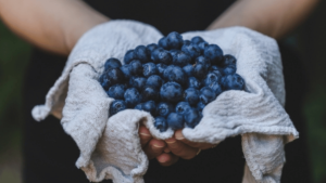 Gros plan sur des mains de femme tenant une serviette remplie de bleuets frais