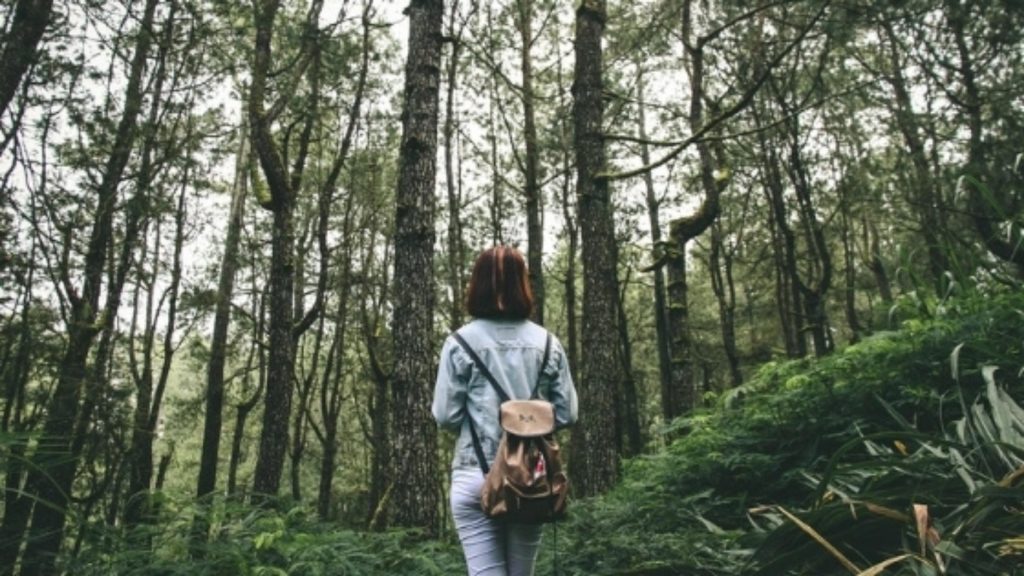 Une femme faisant une randonnée dans la forêt