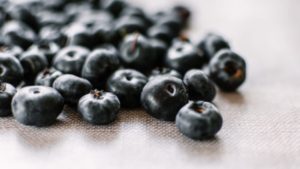 Gros plan sur des bleuets, de super antioxydants