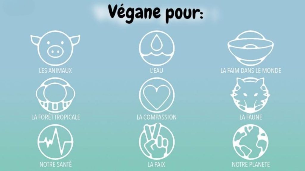 Icônes évoquant le mode de vie végane sur un fond dégradé bleu-vert