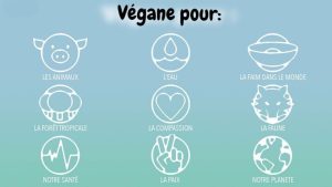 Icônes évoquant le mode de vie végane sur un fond dégradé bleu-vert