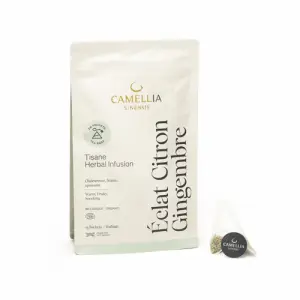 Éclat Citron Gingembre bio - 15 sachets