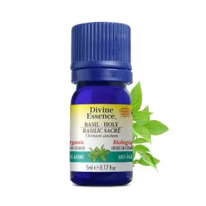 Divine Essence - Huile essentielle Basilic Sacré bio (Ocimum sanctum) 5 ml