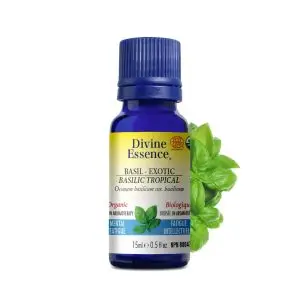 Divine Essence - Huile essentielle Basilic Tropical bio (Ocimum basilicum var. basilicum) exotique 15 ml