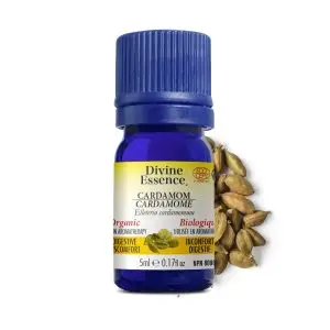 Divine Essence - Huile essentielle Cardamome bio (Elleteria cardamomum) 5 ml