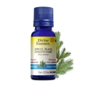 Huile essentielle Épinette noire bio - 15ml