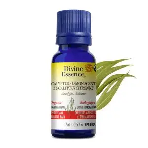 Huile essentielle Eucalyptus citronnée bio - 15ml