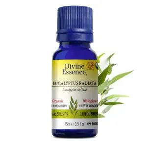 Huile essentielle Eucalyptus Radiata bio - 15ml