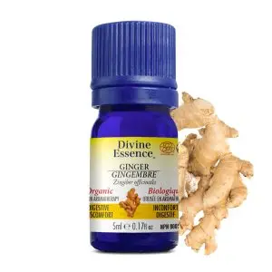 Divine Essence - Huile essentielle Gingembre bio (Zingiber officinalis) 5 ml