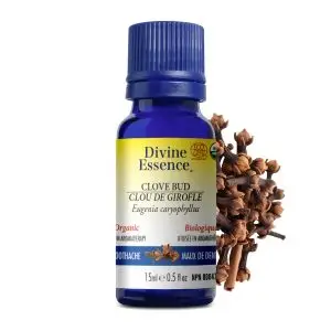 Divine Essence - Huile essentielle Clou de Girofle bio (Eugenia caryophyllus) 15 ml