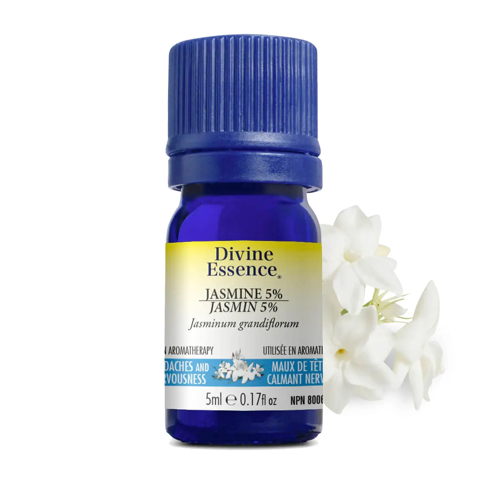 Divine Essence – Huile essentielle Jasmin Absolue 5% (Jasminum grandiflorum) 5 ml