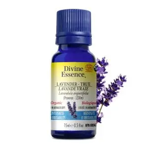 Huile essentielle Lavande vraie bio - 15ml