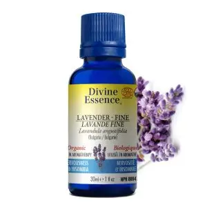 Huile essentielle Lavande fine bio - 30ml