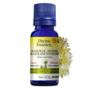 Divine Essence - Huile essentielle Marjolaine Sylvestre bio (Thymus mastichina) 15 ml