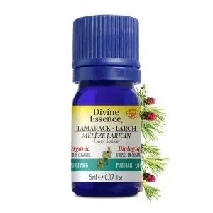 Divine Essence - Huile essentielle Meleze Laricin bio (Larix laricina) 5 ml