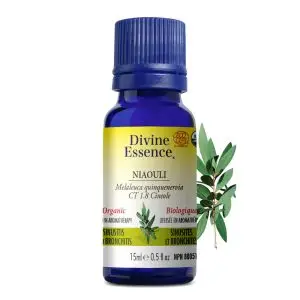 Huile essentielle Niaouli bio (Melaleuca quinquenervia CT 1,8-cineole) - 15ml