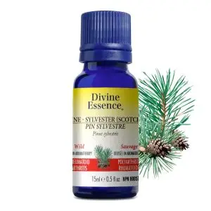Huile essentielle Pin Sylvestre sauvage (Pinus sylvestris) 15 ml