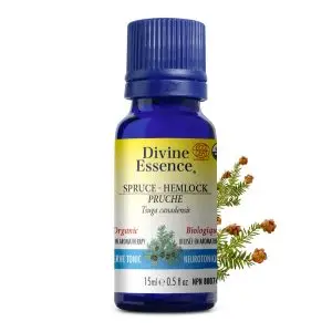 Divine Essence - Huile essentielle Pruche bio (Tsuga canadensis) 15 ml
