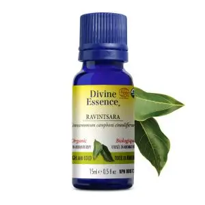 Huile essentielle Ravintsara bio (Cinnamomum camphora cineoliferum) - 15ml