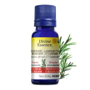 Divine Essence - Huile essentielle Romarin a Camphre bio (Rosmarinus officinalis camphoriferum) 15 ml