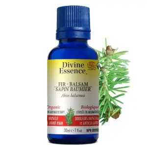 Huile essentielle Sapin baumier bio (Abies balsamea) - 30ml