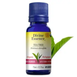 Huile essentielle Tea tree bio - 15ml