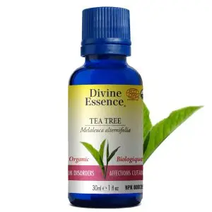 Huile essentielle Tea tree bio - 30ml