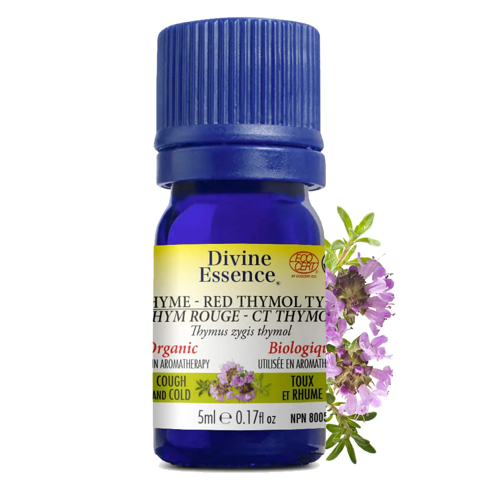 Divine Essence – Huile essentielle Thym Rouge bio (Thymus zygis thymol) 5 ml