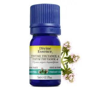 Divine Essence - Huile essentielle Thym Thuyanol (Thymus vulgaris thujanoliferum) 5 ml