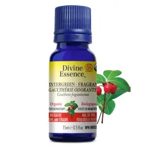 Divine Essence - Huile essentielle Gaultherie Odorante - The des Bois bio (Gaultheria fragrantissima) 15 ml