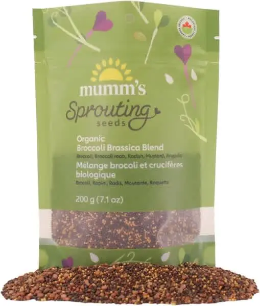 Mumm’s – Mélange de brocoli/crucifère à germer bio 200g