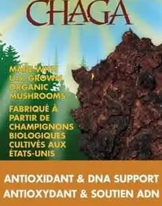 Host Defense - Chaga 60 capsules