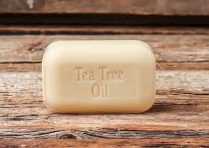 Soap Works – Barres savon