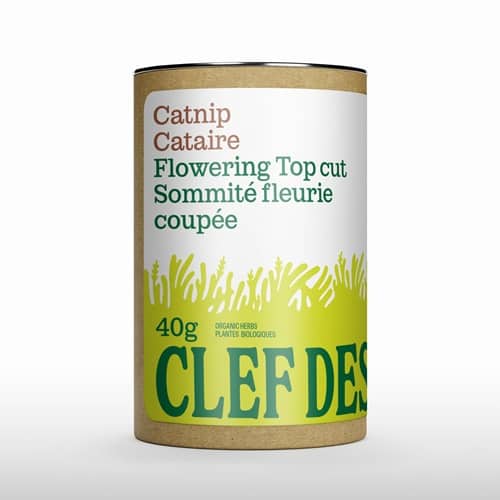 Clef des champs – Tube de Cataire bio, sommité fleurie coupée 40g