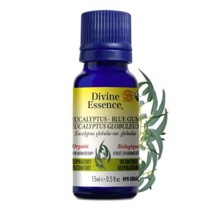 Huile essentielle Eucalyptus globuleux (Blue Gum) - 15ml