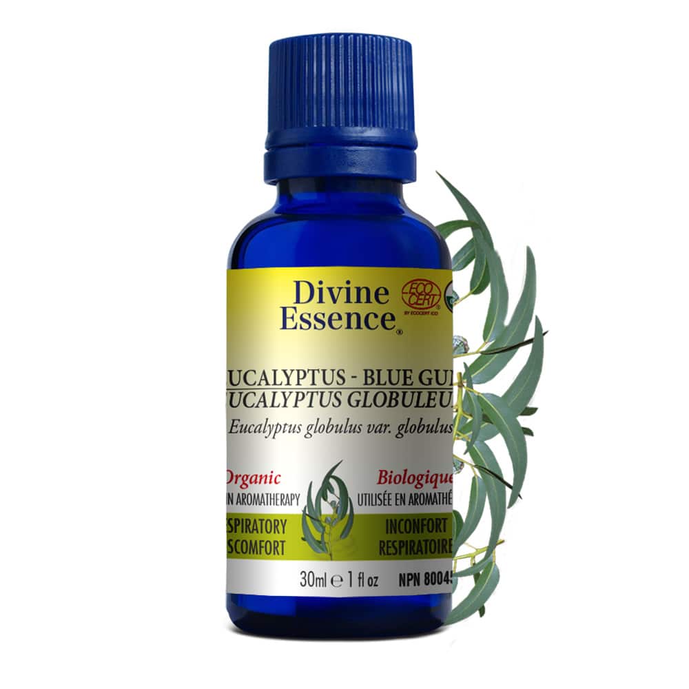 Divine Essence – Huile essentielle Eucalyptus globuleux (Blue Gum)